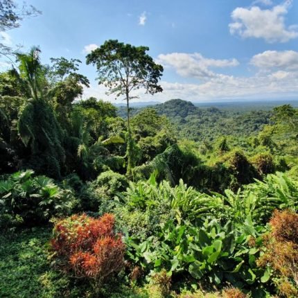 Das unbekannte Belize