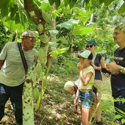 2 Wochen Belize Highlights Rundreise